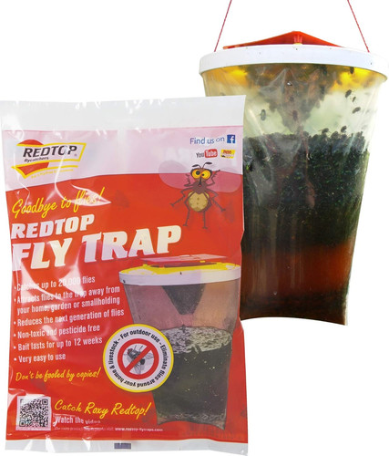 Red top fly - top, traps,