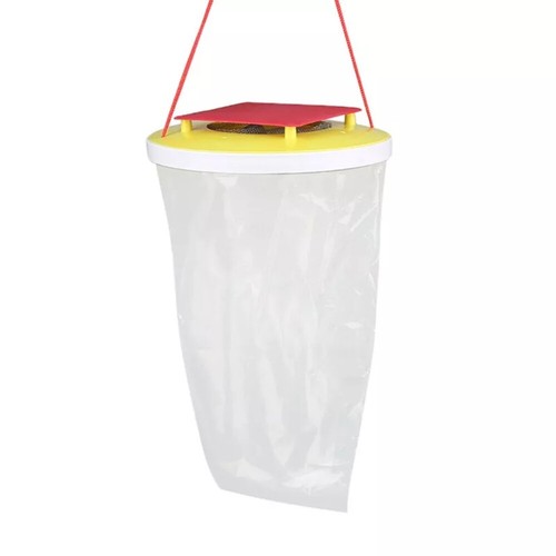 Red top fly trap - fly,