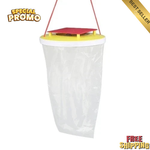 Red top fly trap - fly,